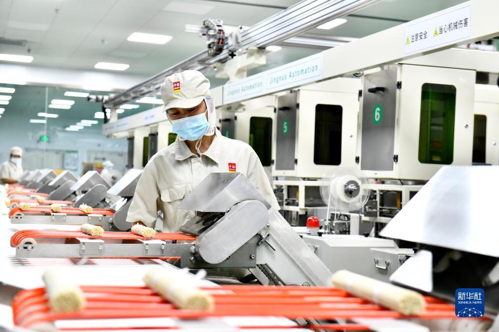 游戏狮子机